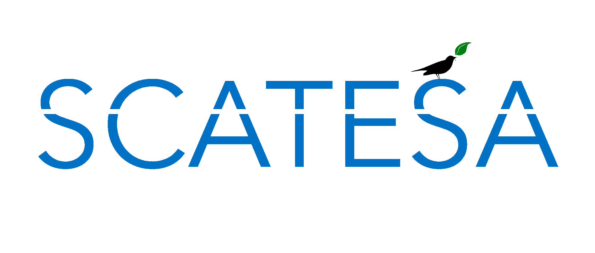 Scatesa Logo